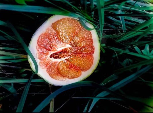 Pink Grapefruit Essential Oil
