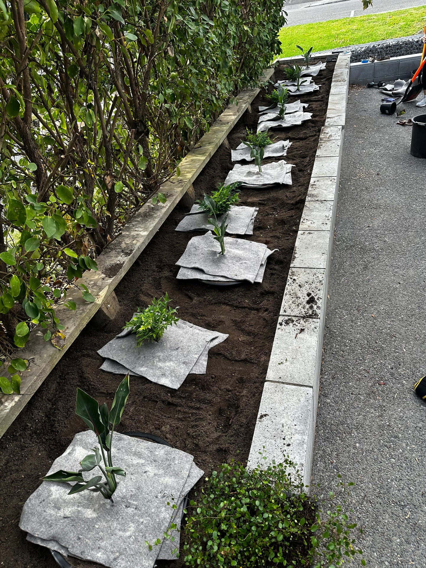 Mulch & Weed Mat from 100% Recycled NZ Wool